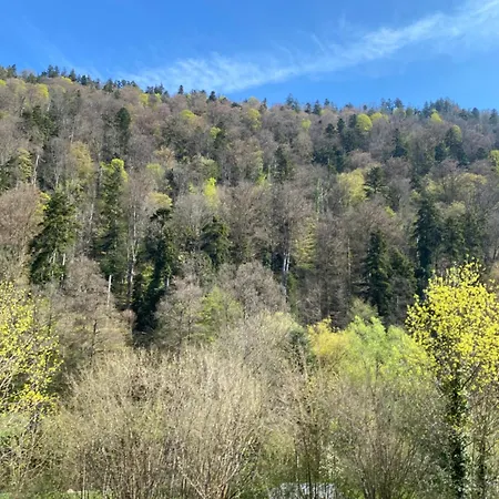 Am Wald, Am Berg